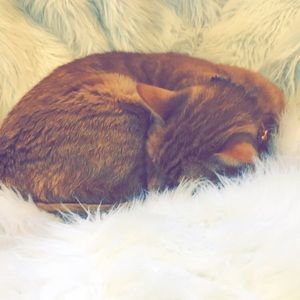 Meet your Posher, Naomi